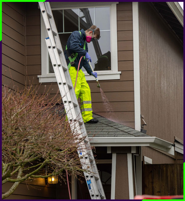 Roof Cleaning Business Toano, VA